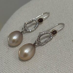 Retired Authentic Pandora Circle of Friends Earrings